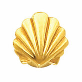 Shell Bracelet Slide